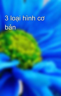 3 loại hình cơ bản