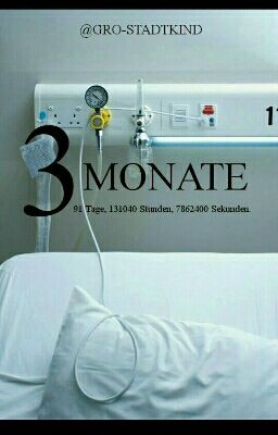 3 Monate