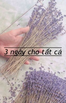 3 ngày cho tất cả