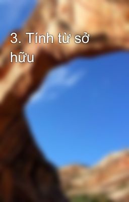 3. Tính từ sở hữu