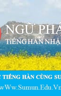 30 Ngữ Pháp Tiếng Hàn Nhập Môn