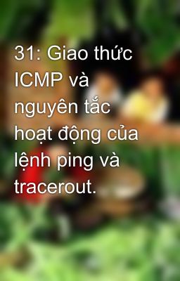 31: Giao thức ICMP và nguyên tắc hoạt động của lệnh ping và tracerout.