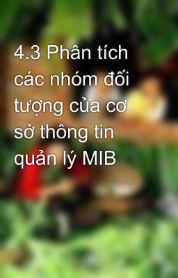 4.3 Phân tích các nhóm đối tượng của cơ sở thông tin quản lý MIB