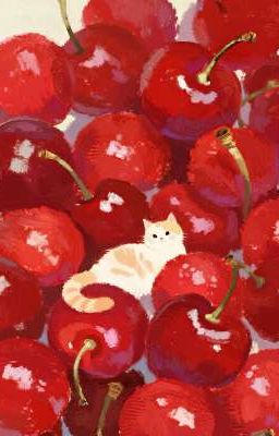 4. [ĐAM MỸ | DONE] - AI MỚI LÀ ÔNG CHỦ