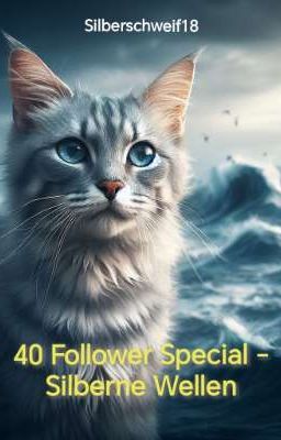 40 Follower Special - Silberne Wellen