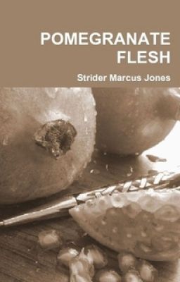 40 Poems From POMEGRANATE FLESH by Strider Marcus Jones