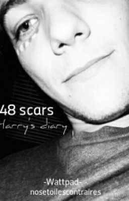 48 scars : Harry's diary