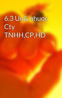 6.3 Uu& nhuoc Cty TNHH,CP,HD