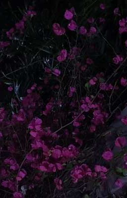 6789 • Về Nhà (Ăn Tết)