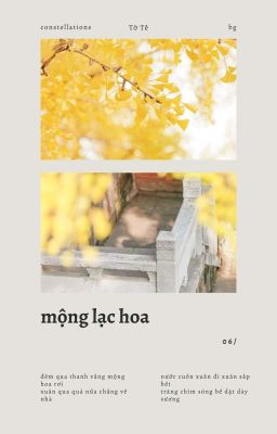 [6cs] Mộng lạc hoa