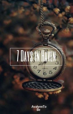 7 Days of Haven