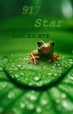 917 Star Geschichte