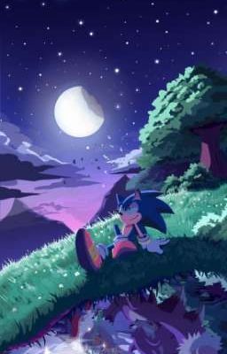 Sonic♡Unleashed