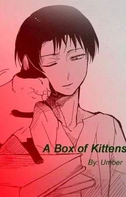 A Box of Kittens (SnK Oneshot)