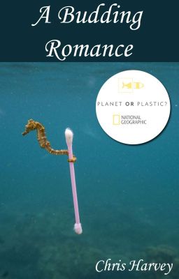 A Budding Romance #PlanetOrPlastic