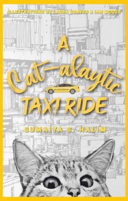 A Cat-alytic Taxi Ride | ✓