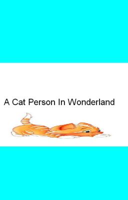 A Cat Person In Wonderland