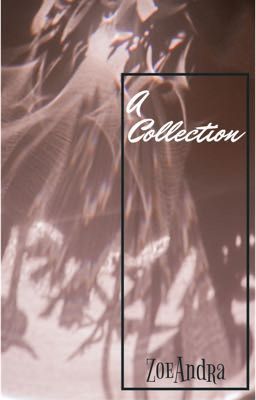 A Collection of Stories