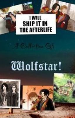 A Collection Of; Wolfstar