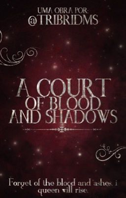 A Court Of Blood And Shadows