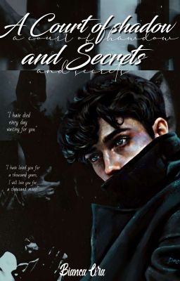 A Court of Secrets and Shadows