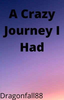 A Crazy Journey I Had