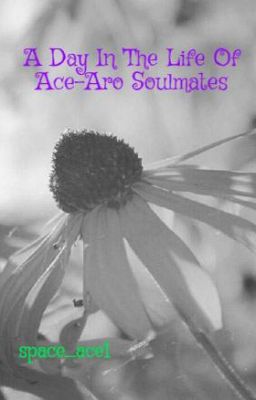 A Day In The Life Of Ace-Aro Soulmates