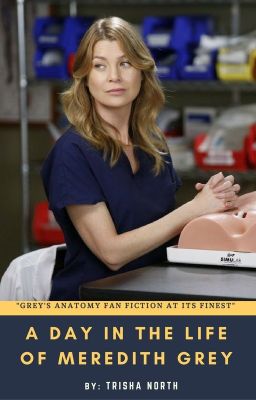 A Day In The Life Of Meredith Grey