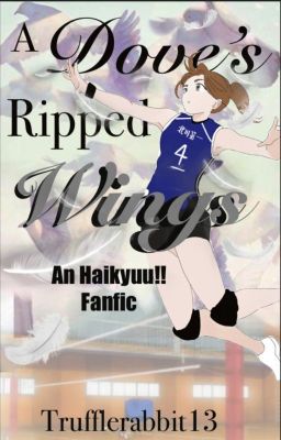 A Dove's Ripped Wings | Haikyuu!!