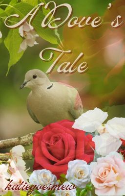 A Dove's Tale