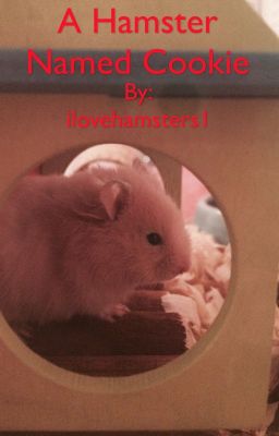 A Hamster Named Cookie