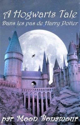 A Hogwarts Tale : Dans les pas de Harry Potter [Terminé]