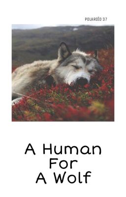 A Human For A Wolf [Newtmas]