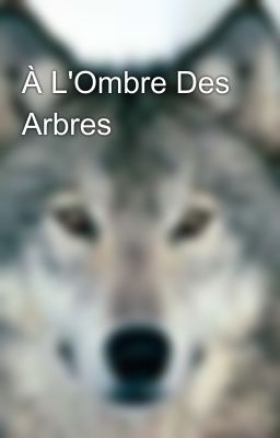 À L'Ombre Des Arbres 