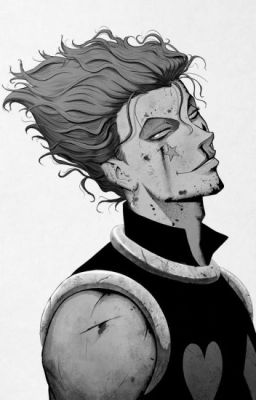 A Little Crazy (Hisoka x Reader) - TRANS