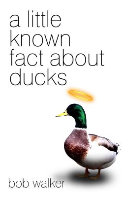 A Little Known Fact About Ducks