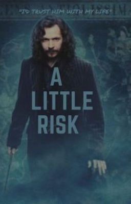 A Little Risk ★𝒮𝒾𝓇𝒾𝓊𝓈 𝐵𝓁𝒶𝒸𝓀☆ |On Hold|