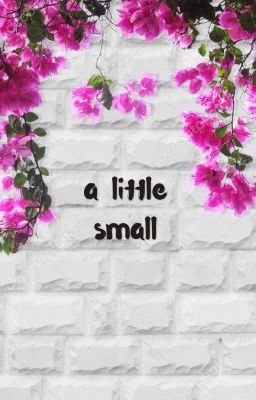 a little small | taegi + BTS [completed]