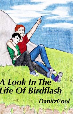 A Look Into The Life Of Birdflash