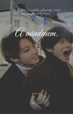 A mindenem. (Taekook)