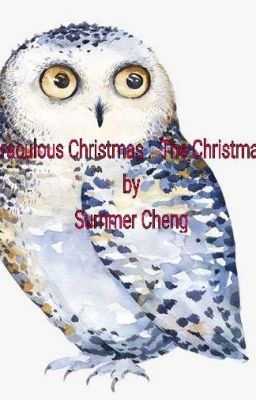 A Miraculous Christmas: The Christmas Owl by Summer Cheng