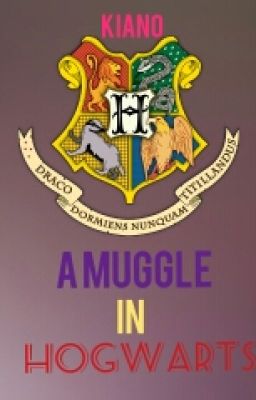 A Muggle In Hogwarts (Harry Potter Fanfic)