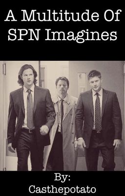 A Multitude of SPN Imagines