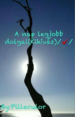 A nap legjobb dolgai (Kihívás)/✔/