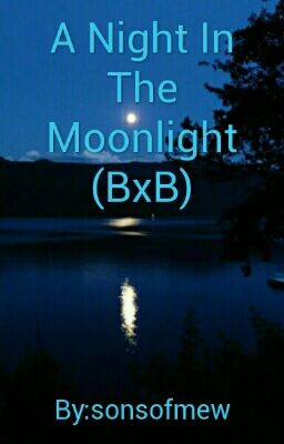 A Night In The Moonlight (BxB)