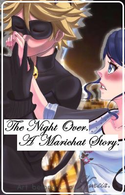 A Night Over {A Marichat Story}