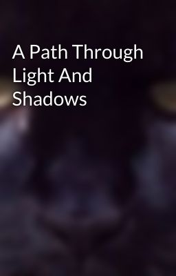 A Path Through Light And Shadows