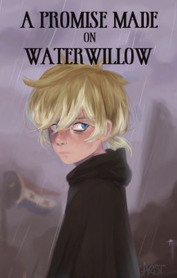 A Promise Made on Waterwillow