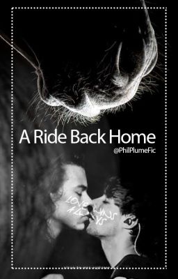 A Ride Back Home ◊ LARRY