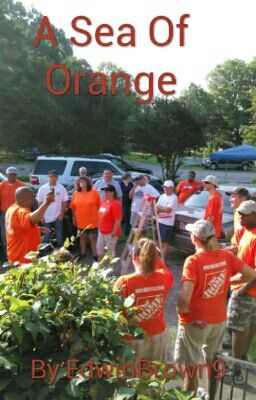 A Sea Of Orange